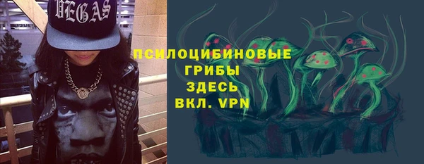 шишки Ухта