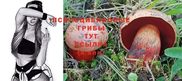 mix Бородино
