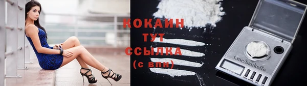mix Бородино