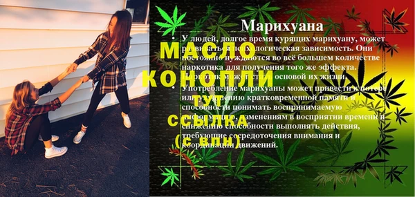 mix Бородино