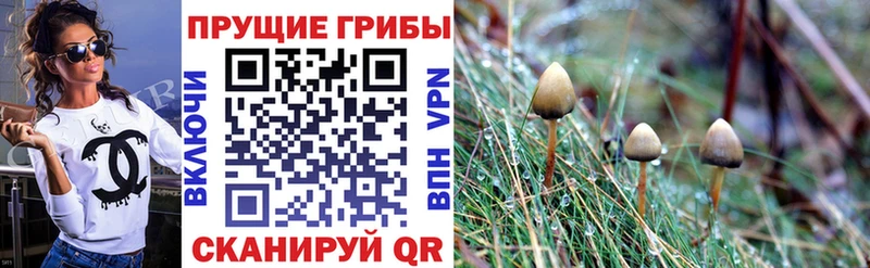 Псилоцибиновые грибы мухоморы Видное